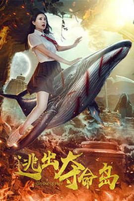 天天综合久久久网
